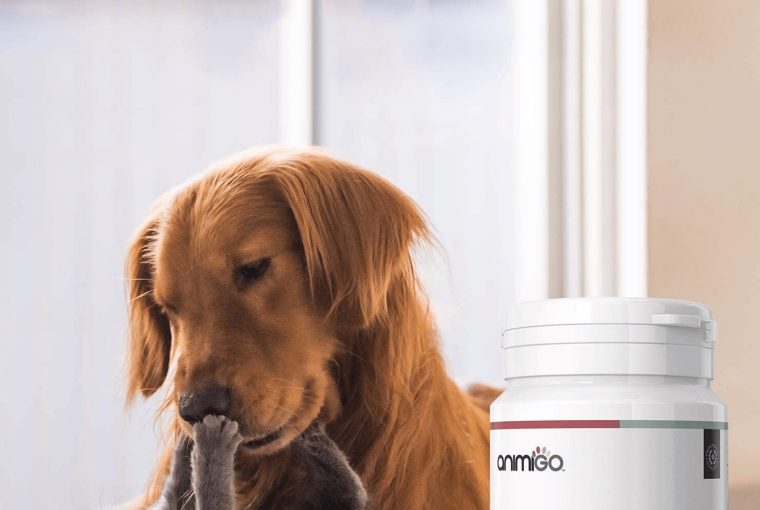 109733003 3382981821722564 3291286752454191044 n