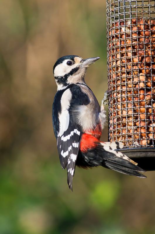 11863345 766384320153743 6659929324861168247 N