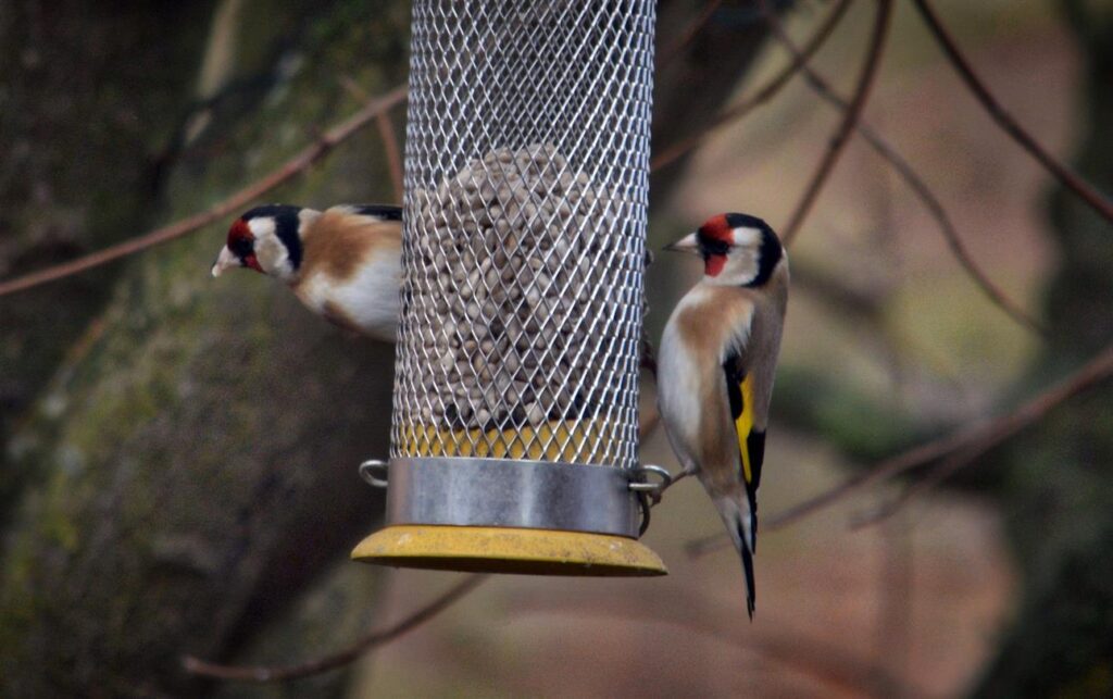 12109860 10207973366070954 7662035592894498360 O