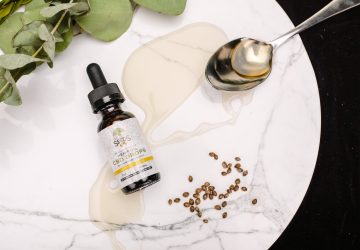 Pexels tree of life seeds 3259595