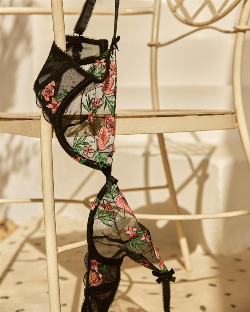 291052526 5392820230775617 8823638159704270934 N