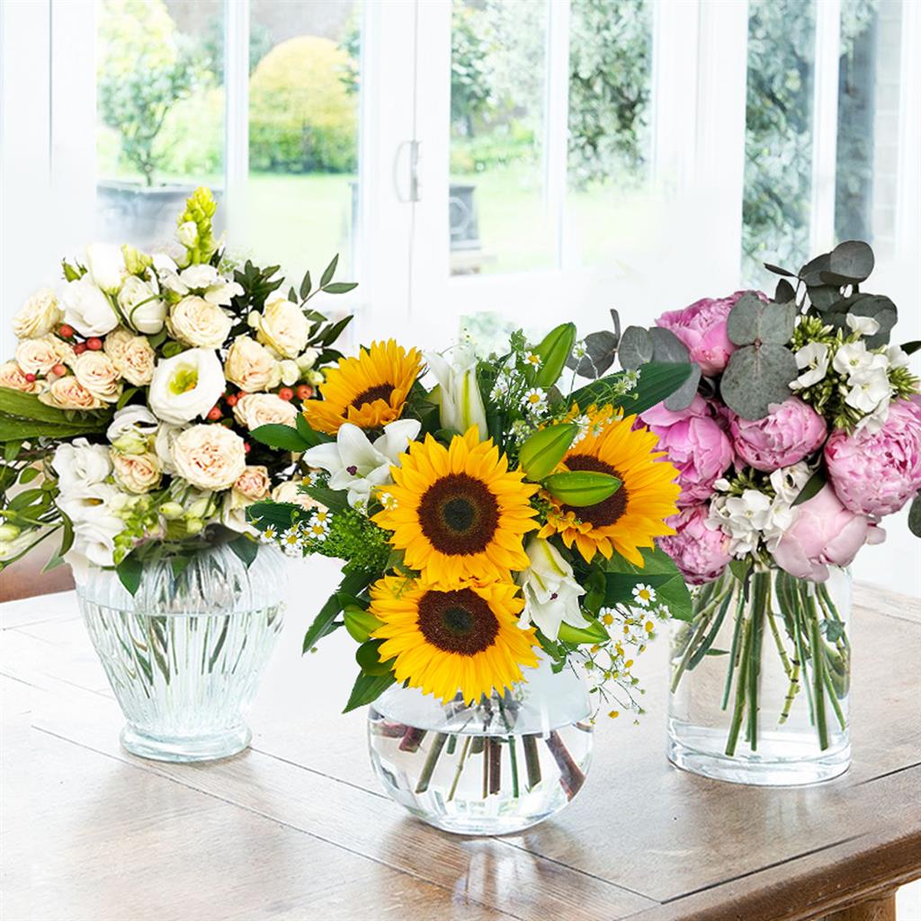 296341460 435877881888070 8742772057884460458 N