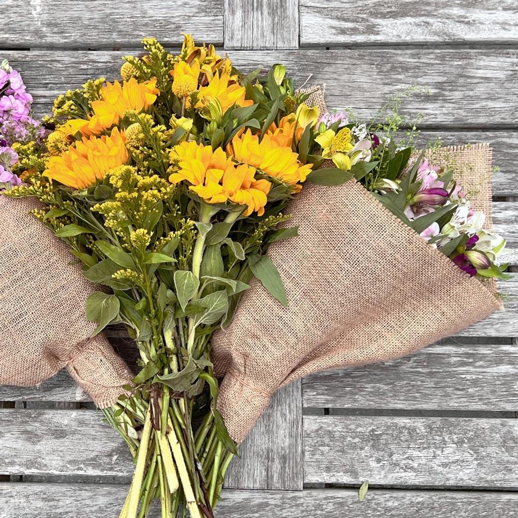 301354276 452986433510548 1660870960786549472 N