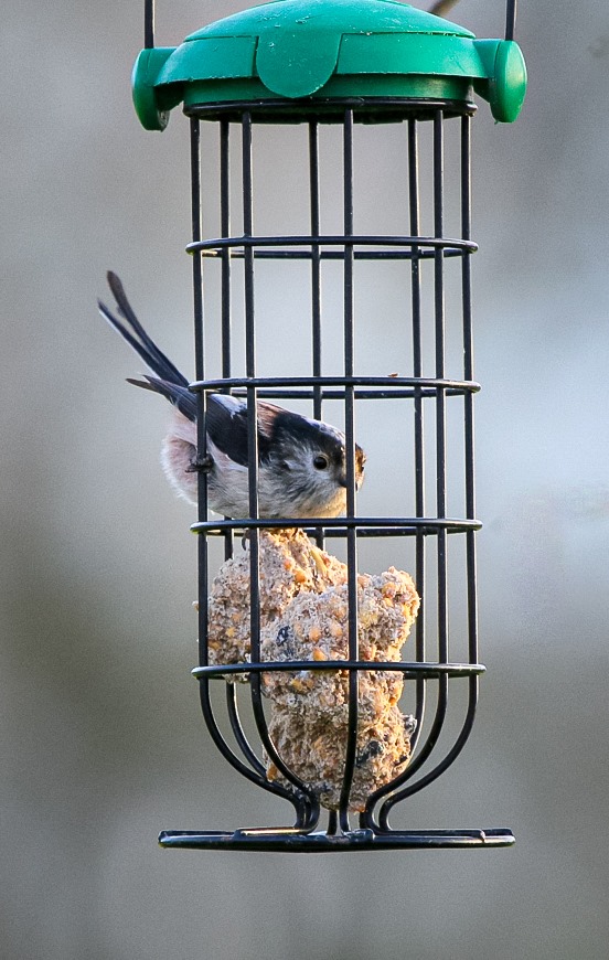 92581251 2665564226902400 2012157238617047040 N