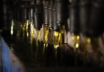 Oilextraction Header