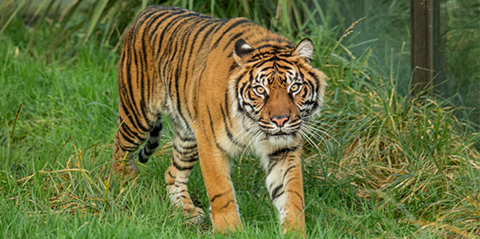 Onpaste.20240801 065021