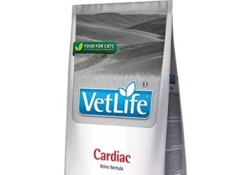 Cardiac Vet Life Cat Feline Cagl