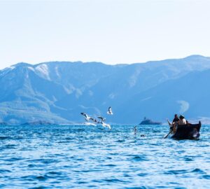 Travelocity is a well-known online travel platform that helps users book hotels, flights, vacation packages, car rentals, and experiences in one convenient place. With a focus on affordability, flexibility, and ease of use, it has become a trusted choice for travelers looking to plan trips efficiently.