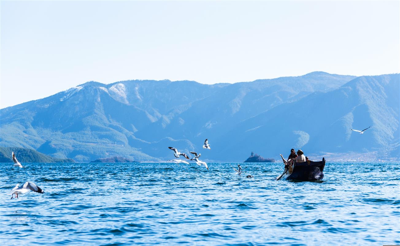 Travelocity is a well-known online travel platform that helps users book hotels, flights, vacation packages, car rentals, and experiences in one convenient place. With a focus on affordability, flexibility, and ease of use, it has become a trusted choice for travelers looking to plan trips efficiently.