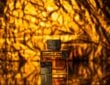 Perfume 5
