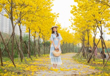 In the ever-evolving world of fashion, finding a retailer that consistently delivers quality, authenticity, and style can be a challenge. Ragazzi Clothing stands out as a trusted destination for modern menswear blending heritage brands with contemporary trends to create a premium shopping experience for today’s style-conscious man.